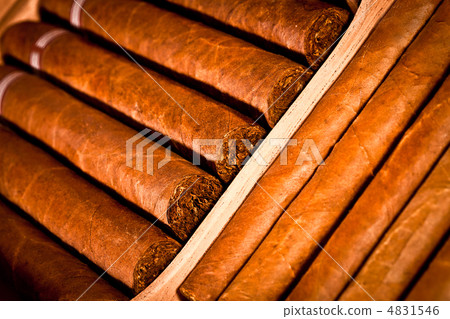 Cigars in humidor Cigars in humidor 4831546
