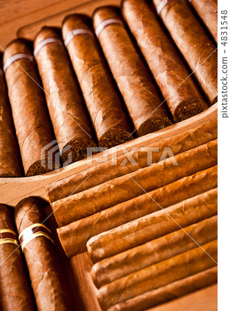 Cigars in humidor Cigars in humidor 4831548