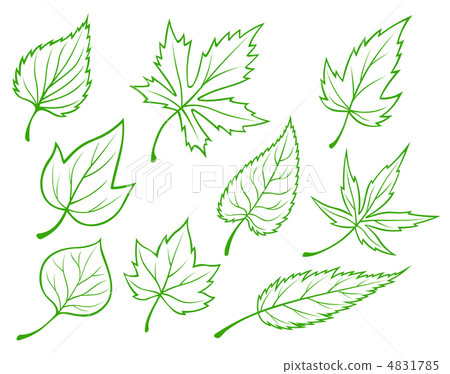 Green leaves set Green leaves set 4831785
