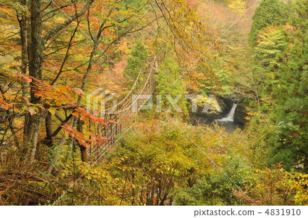 Oku Iya Kazura Bridge and waterfall in autumn 4831910