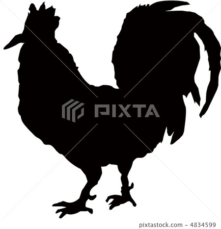 Chicken 4834599