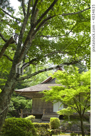 新鮮的綠色Sanzenin 4834635