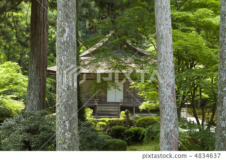 新鮮的綠色Sanzenin 4834637