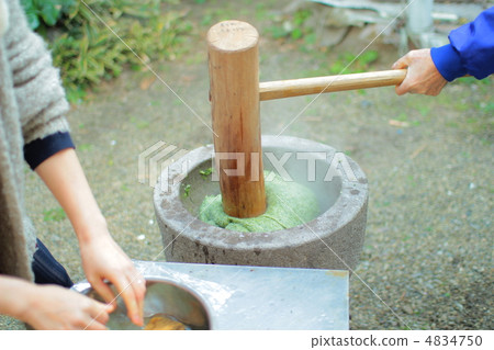 Mochi with rice cake mushiorry rice cake 4834750