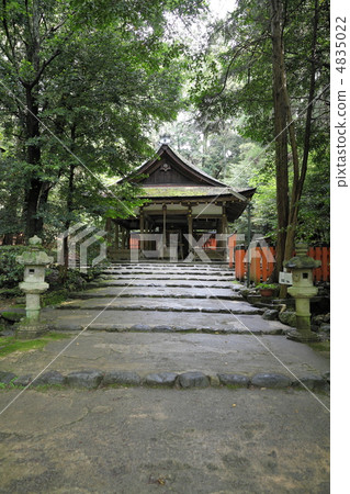 Oota shrine of fresh green 4835022