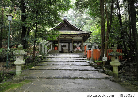 Oota shrine of fresh green 4835023
