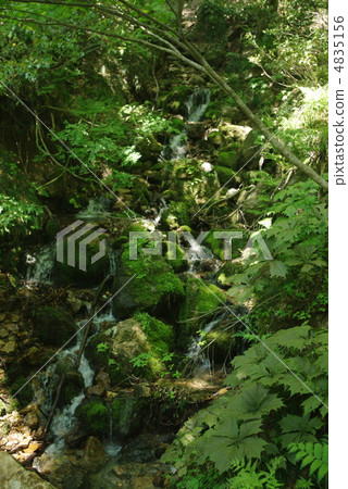 Kurakurayama山 4835156
