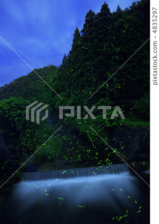 幻覺隨機性 4835297