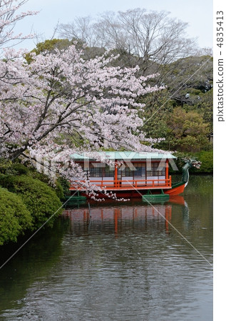 Pond and cherry blossoms at Shinsen garden 4835413