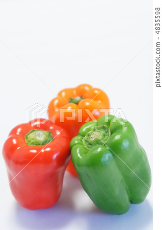 green pepper green pepper 4835598