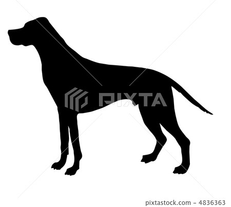 vector silhouette beagle isolated on white background vector silhouette beagle isolated on white background 4836363