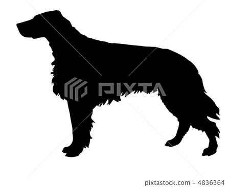 vector silhouette of the setter isolated on white background vector silhouette of the setter isolated on white background 4836364