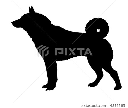 vector silhouette of the kidskin isolated on white background vector silhouette of the kidskin isolated on white background 4836365