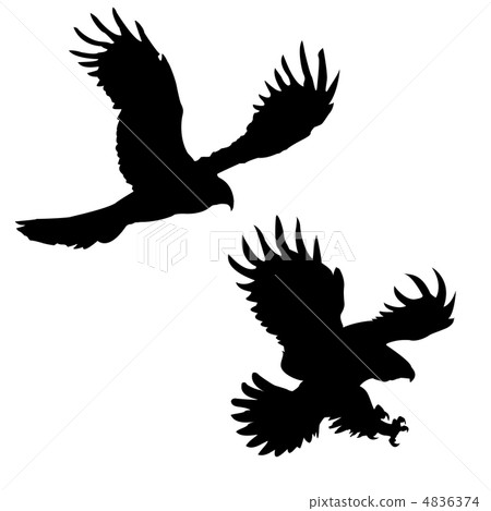 vector silhouette of the ravenous birds on white background vector silhouette of the ravenous birds on white background 4836374