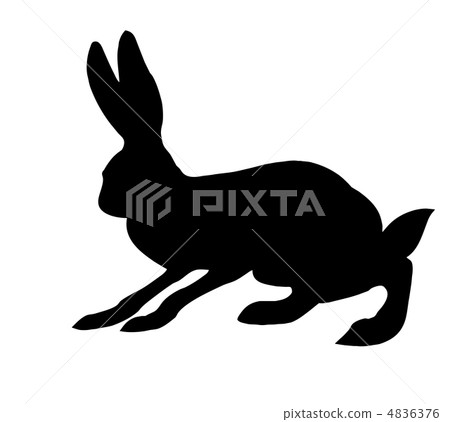 vector  silhouette of the rabbit isolated on white background 4836376