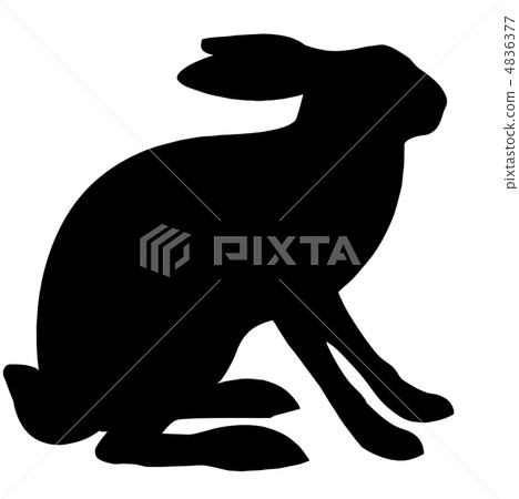 vector illustration hare isolated on white background vector illustration hare isolated on white background 4836377
