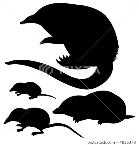 vector silhouette of the mole, mouse and desmans on white backg vector silhouette of the mole, mouse and desmans on white backg 4836378