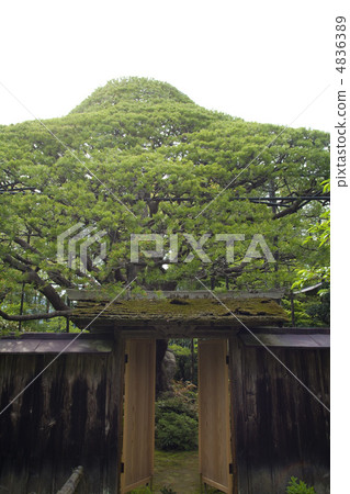 Horyozonin's Goryokudatsu 4836389