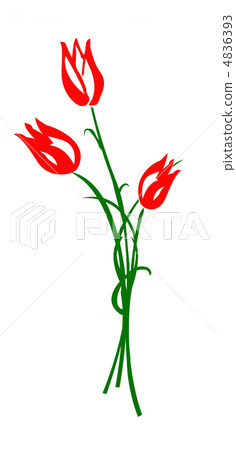 vector  drawing tulip isolated on white background 4836393