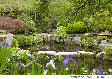 Gwanghwamun garden 4836411