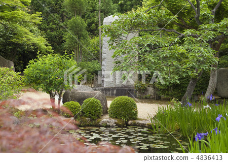Gwanghwamun garden 4836413