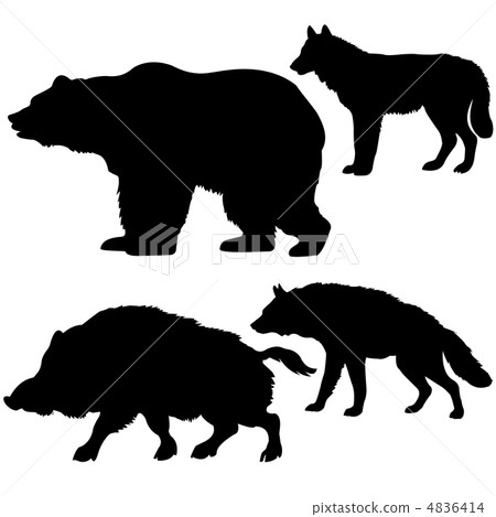 vector  silhouettes of the wild boar, bear, wolf, hyena on white 4836414