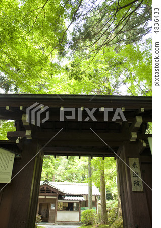 歡迎殖民地Sanmon 4836433