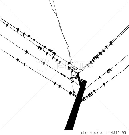vector silhouette swallow reposing on electric wire 4836493