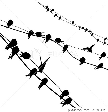vector silhouette migrating swallow reposing on electric wire 4836494