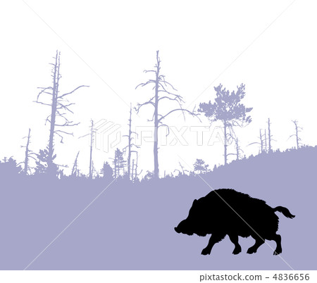 vector silhouette of the wild boar vector silhouette of the wild boar 4836656