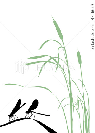 vector silhouette two dragonflies on herb vector silhouette two dragonflies on herb 4836659