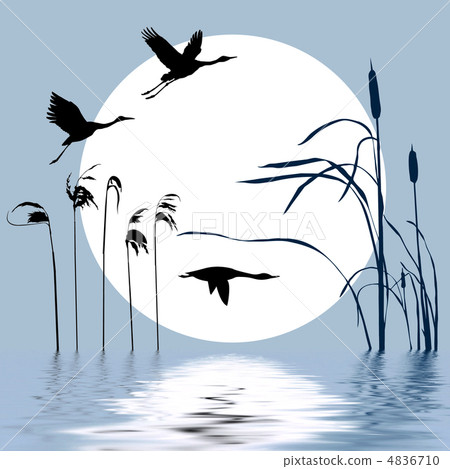 Vector Drawing Flying Birds On Background Sun Stock Illustration 4836710 Pixta