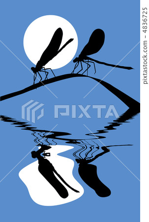 vector  silhouette two dragonflies on herb 4836725