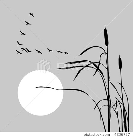 vector drawing flock geese on bulrush vector drawing flock geese on bulrush 4836727