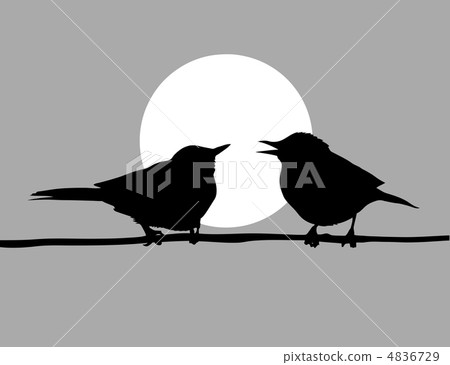 vector drawing two birds on solar background vector drawing two birds on solar background 4836729