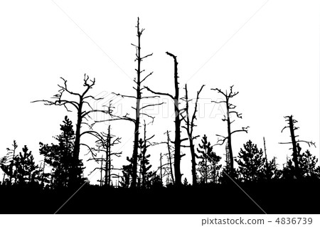 vector drawing old dry wood 4836739