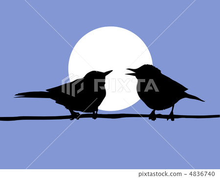 vector drawing two birds on solar background vector drawing two birds on solar background 4836740
