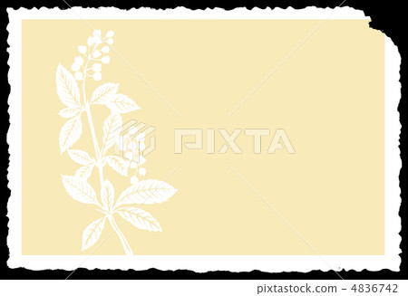 vector drawing of the plant on yellow paper vector drawing of the plant on yellow paper 4836742