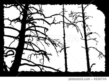 vector drawing old tree on torn sheet of paper 4836744