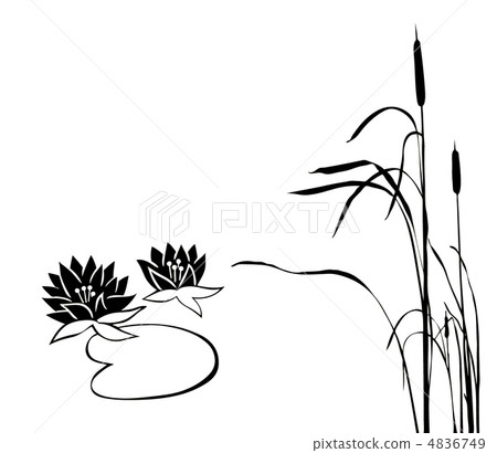 vector silhouette of the marsh plants on white background 4836749