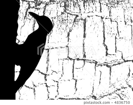 vector silhouette woodpecker on wood background 4836750