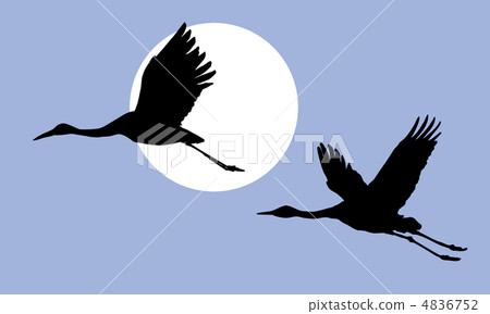 vector illustration of the cranes vector illustration of the cranes 4836752