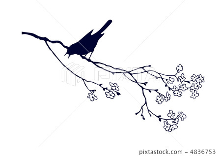 vector silhouette of the bird on branch tree vector silhouette of the bird on branch tree 4836753
