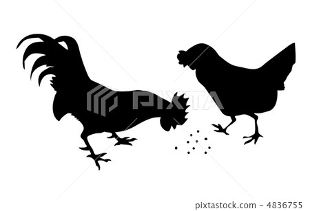 vector silhouette of the cock with hen on white background vector silhouette of the cock with hen on white background 4836755