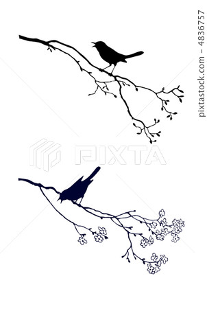vector silhouette of the bird on branch tree vector silhouette of the bird on branch tree 4836757