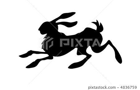 vector silhouette of the rabbit on white background 4836759