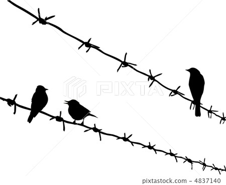 vector silhouette three birds on barbed wire vector silhouette three birds on barbed wire 4837140