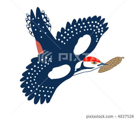 jay drawing on white background, vector illustration 4837526