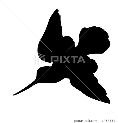 woodcock silhouette on white background, vector illustration woodcock silhouette on white background, vector illustration 4837534