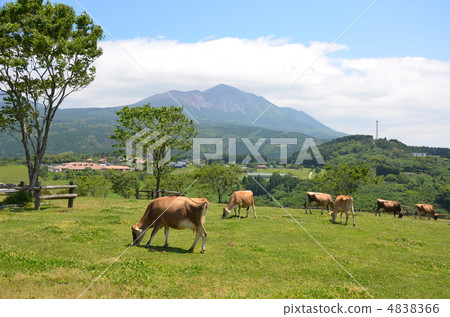 Takachiho Ranch and Takachiho Peak 4838366
